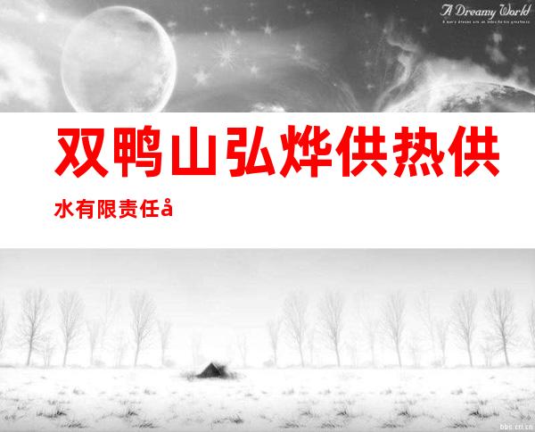 双鸭山弘烨供热供水有限责任公司